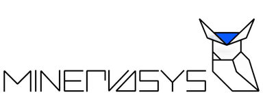Minervasys